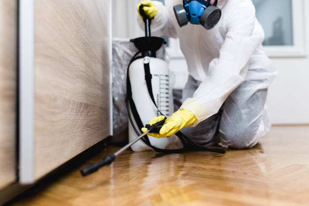 Best Local Pest Control Services  in Raytown, MO