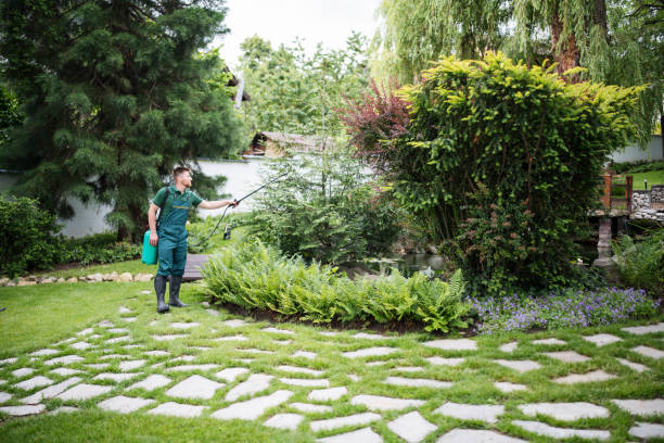 Best Commercial Pest Control Services  in Raytown, MO