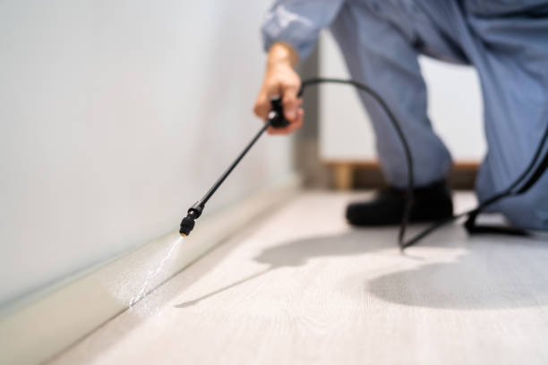 Professional Pest Control in Raytown, MO