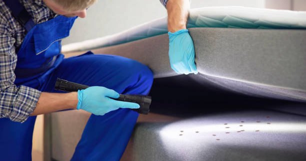 Best Best Pest Control Companies  in Raytown, MO