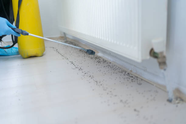 Raytown, MO Pest Control Company